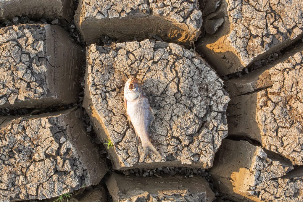 save-water-post